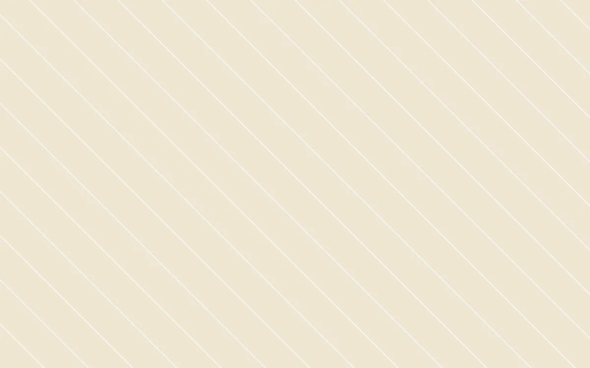 How to Plan for Your Wedding Film