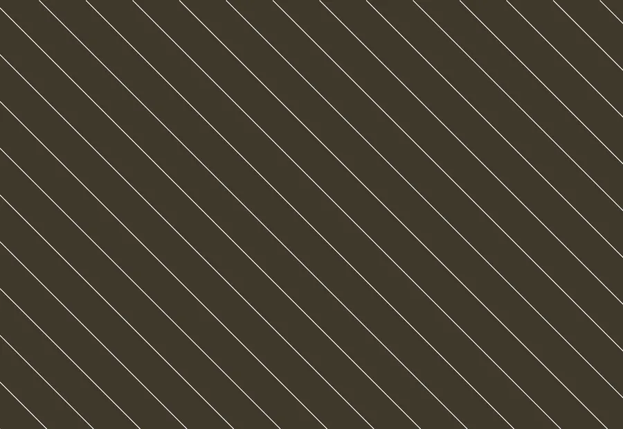 Maya & Theo wedding film still